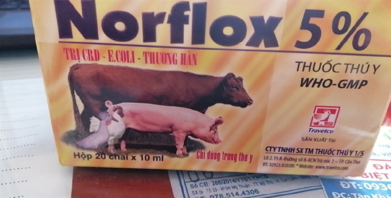 Norflix x 5% 10ml