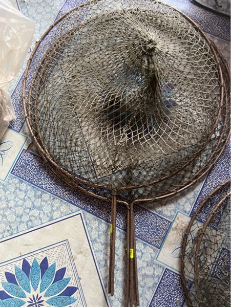 vợt xanh 30