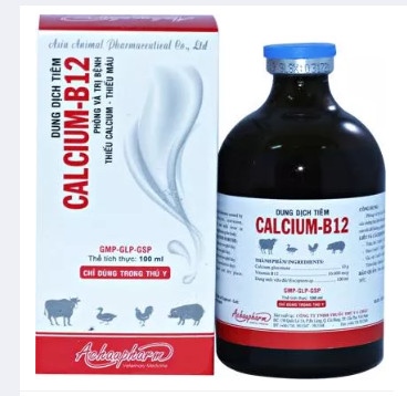 CALCIUM B12 100ml