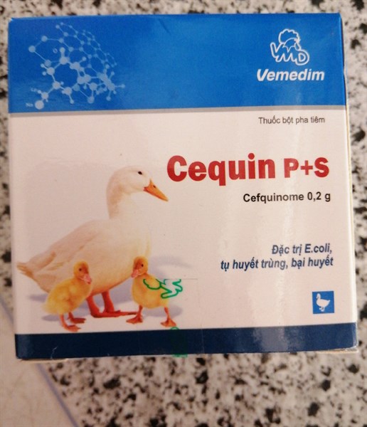 VMD-CEPQUIN P+S 20ml