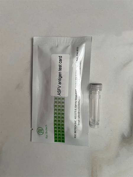Que tét dịch tả châu phi(3 giọt máu vào lọ)