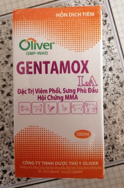 GENTAMOX