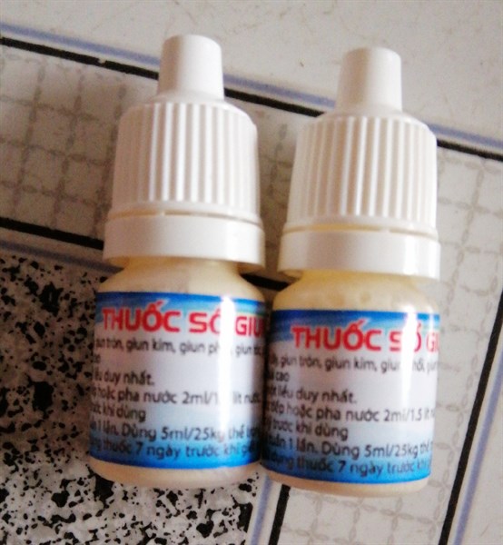 Sổ lãi gà vịt 10ml