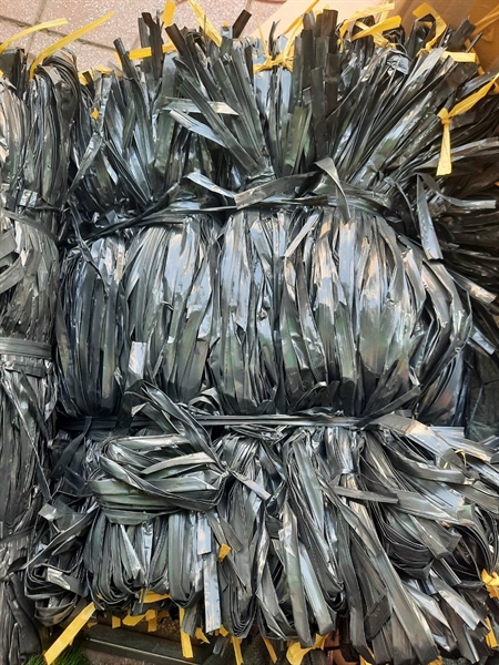 Dây bẹ đen bảng (kg)