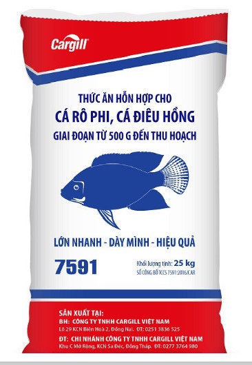 7591 CÁ TRÊ TẠO VÀNG