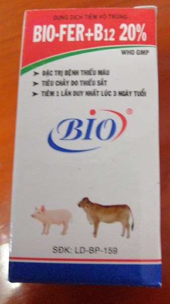 BOI-FER+B12 20% 20ml