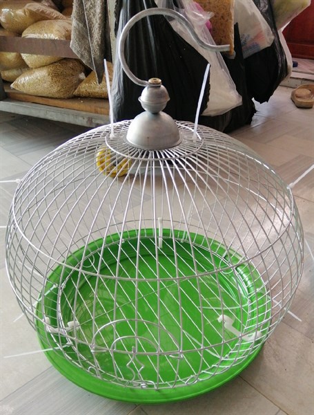 Lồng CU BÍ LỚN