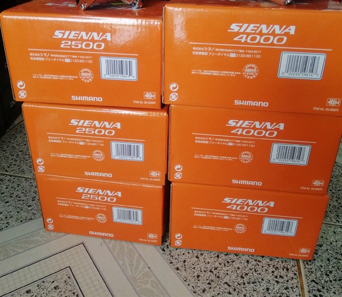 MÁY CÂU SIENNA