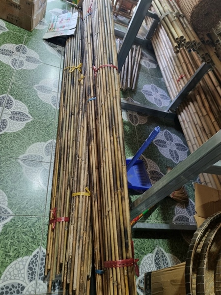 Cần câu trúc 3m
