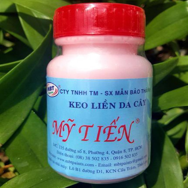 Keo dán mai Mỹ Tiến
