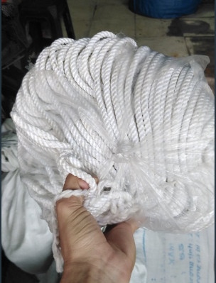 dây tơ thái