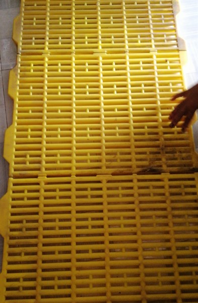 SÀNG NHỰA VÀNG ( chốt tròn) 40X55
