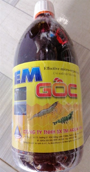 EM GỐC