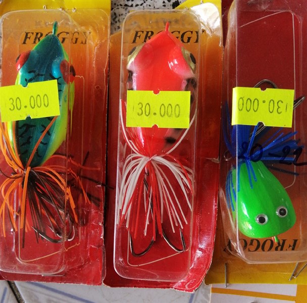 Cá nhựa cứng đầu to