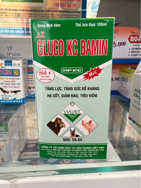 VIA-GLUCO KC BAMIN 100ML