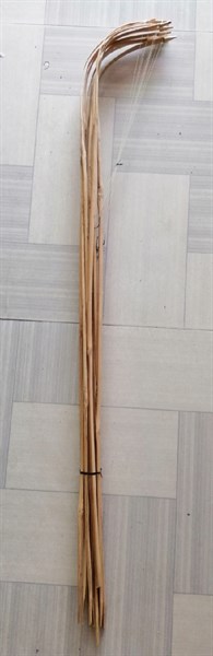 Cần câu cậm