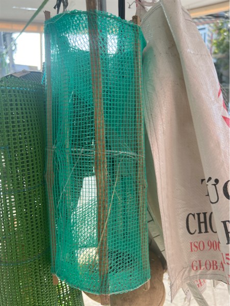 Lợp ếch