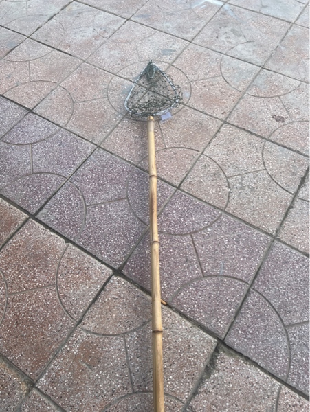 Vợt hái xoài, bầu, có cán trúc 3m8