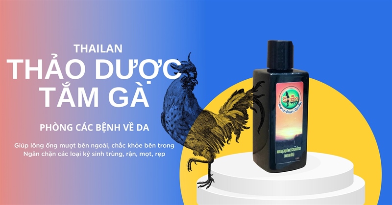 Tắm gà