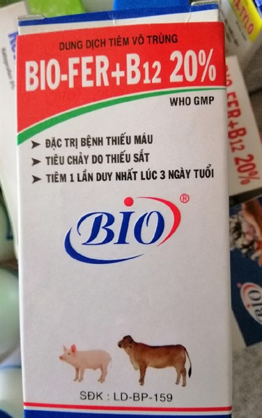 BIO-FER+B12 20% 100ml