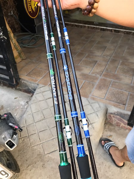 Cần Coastline mút vảy cá