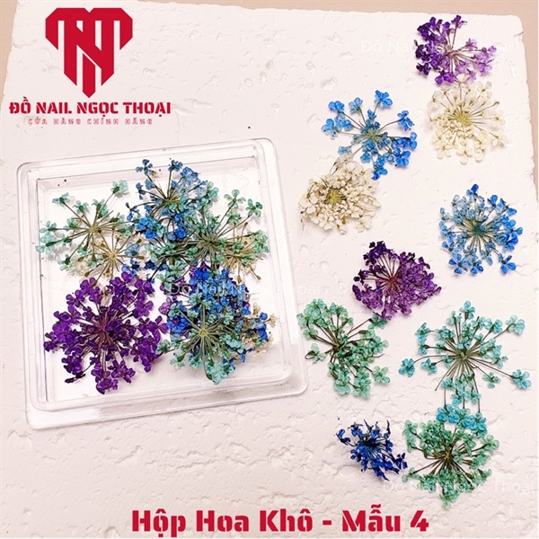 Hộp Hoa Khô - Mẫu 4
