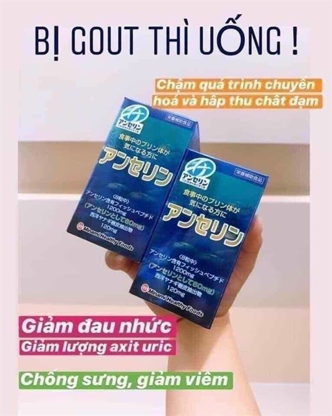 Viên uống trị bệnh Gout 240 viên