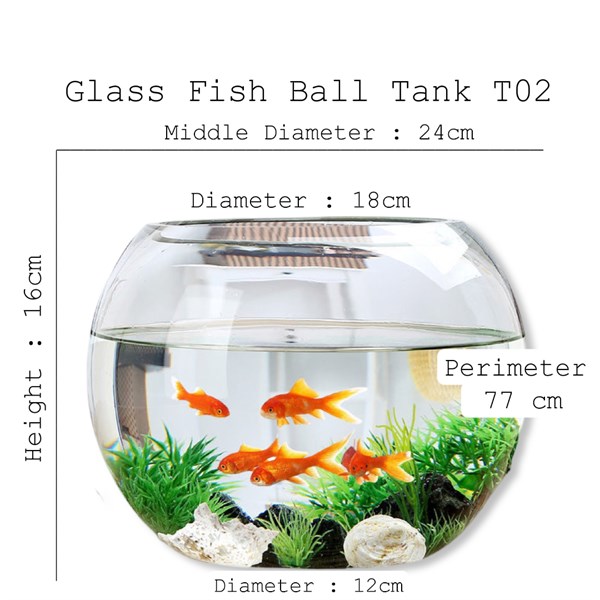 Hồ Cá Thuỷ Tinh Tròn Bầu 24 x 16 Cm T02