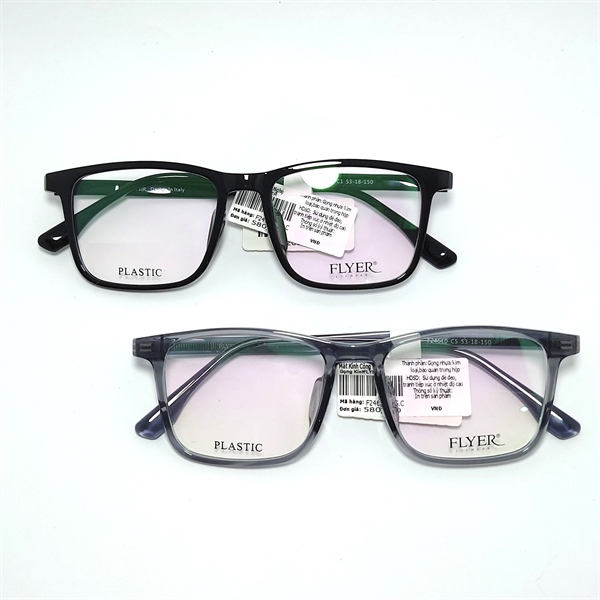 Kính gọng FLYER F24610