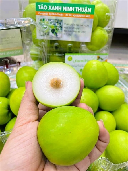 Táo Xanh Ninh Thuận VietGap