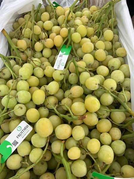Nho Xanh Autumn Crisp Fruitico ÚC