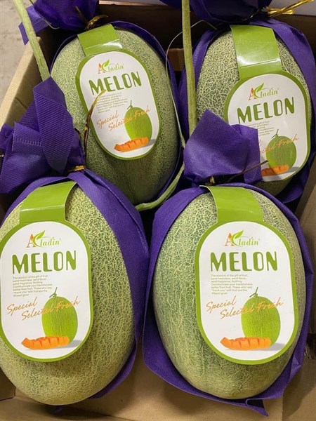 Quả Dưa Lưới Tươi Aladin