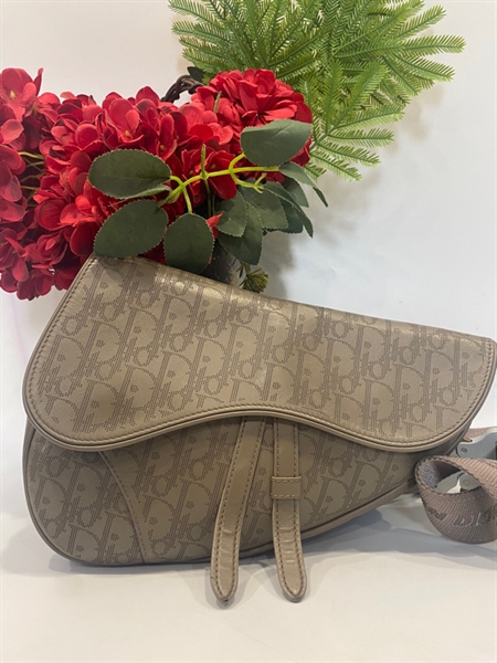 Túi Dior yên ngựa xám KG+