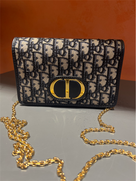 Túi Dior hoạ tiết chữ xanh+