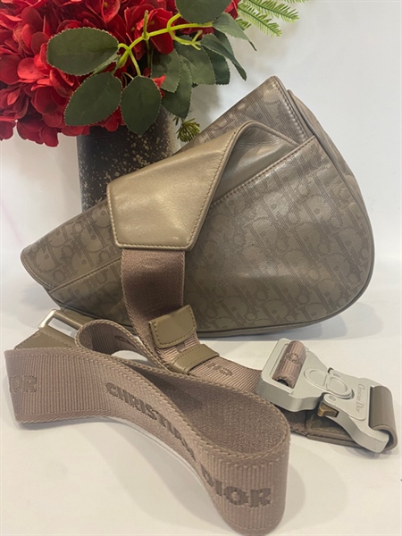 Túi Dior yên ngựa xám KG+