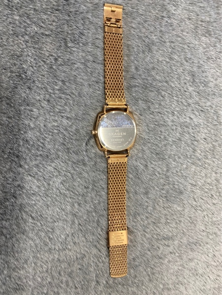 Đồng hồ SKAGEN +