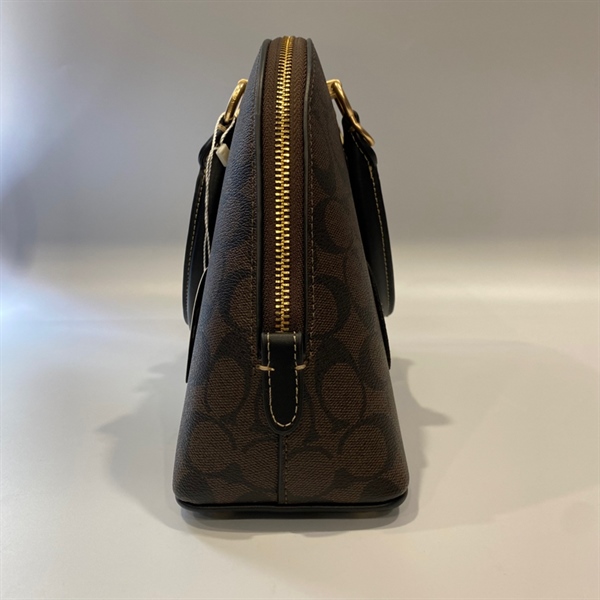 Túi xách nâu Coach