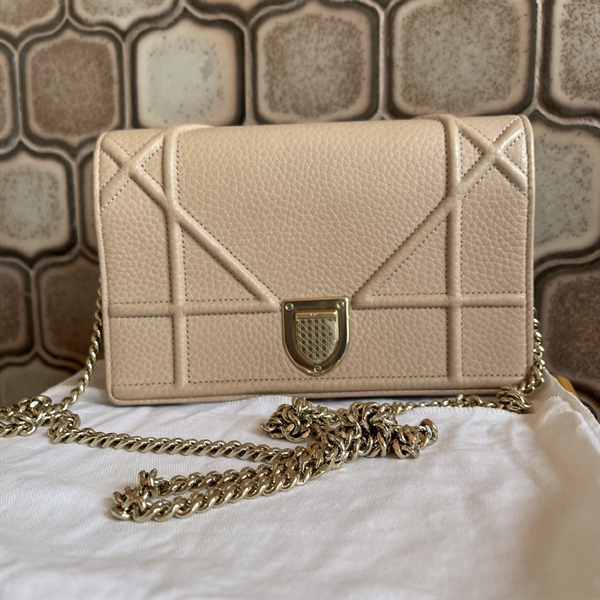 Túi Dior Màu Nude+