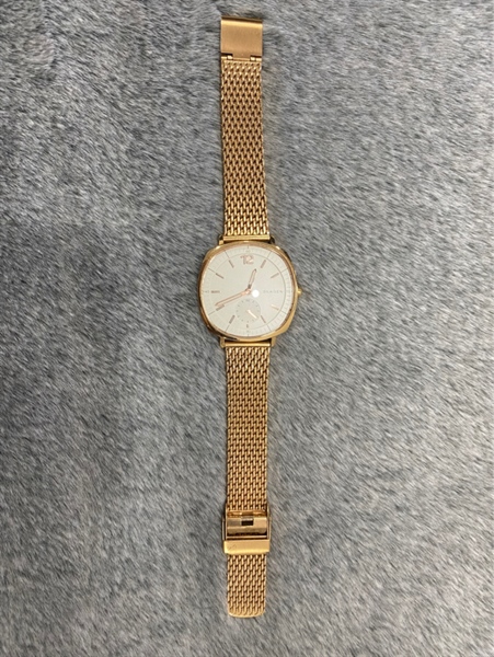 Đồng hồ SKAGEN +