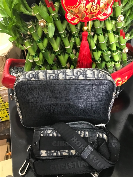 Túi Đeo Chéo Dior Vải sọc KG+