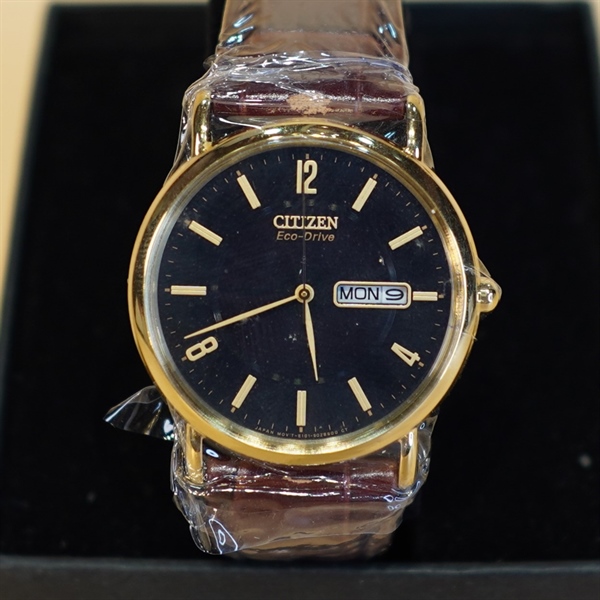 Đồng hồ nam Citizen dây da nâu KG+