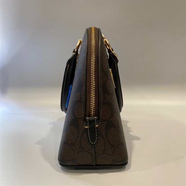 Túi xách nâu Coach