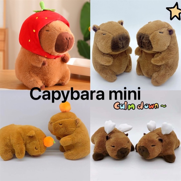 Chuột lang Capybara 25cm QCCC (nhiều mẫu)