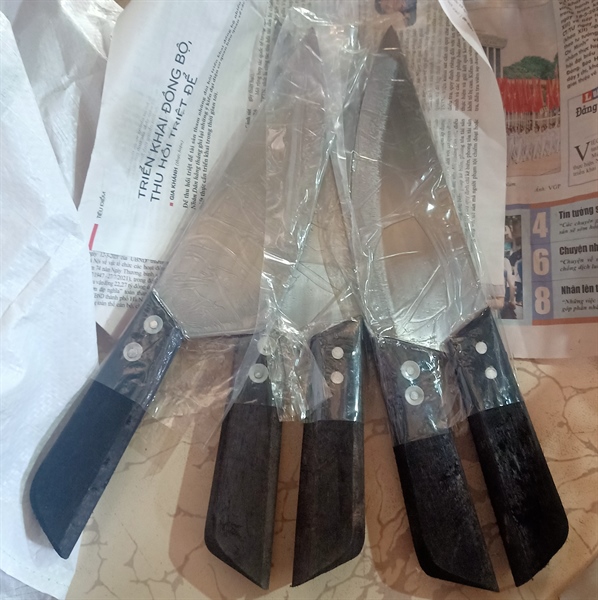 DAO BẦU KHÁNH NHUNG ĐA SỸ LỚN
