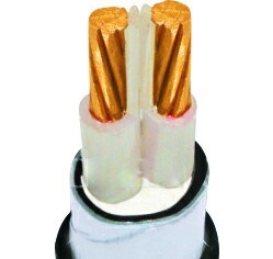 Cáp treo XLPE 2 lõi đồng - LD