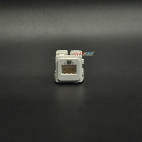 Module Ổ mạng Data viền trắng S18A & S19 - Sino/Vanlock
