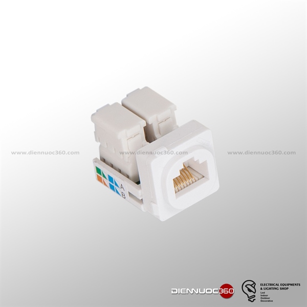 Module Ổ tín hiệu viền trắng S668 - Sino/Vanlock
