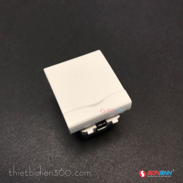 Module công tắc 16A viền trắng dạ quang Concept - Schneider