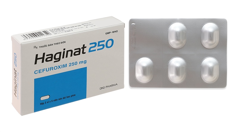 Haginat 250