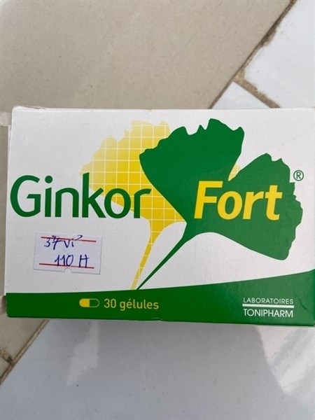 GINKOR FORT